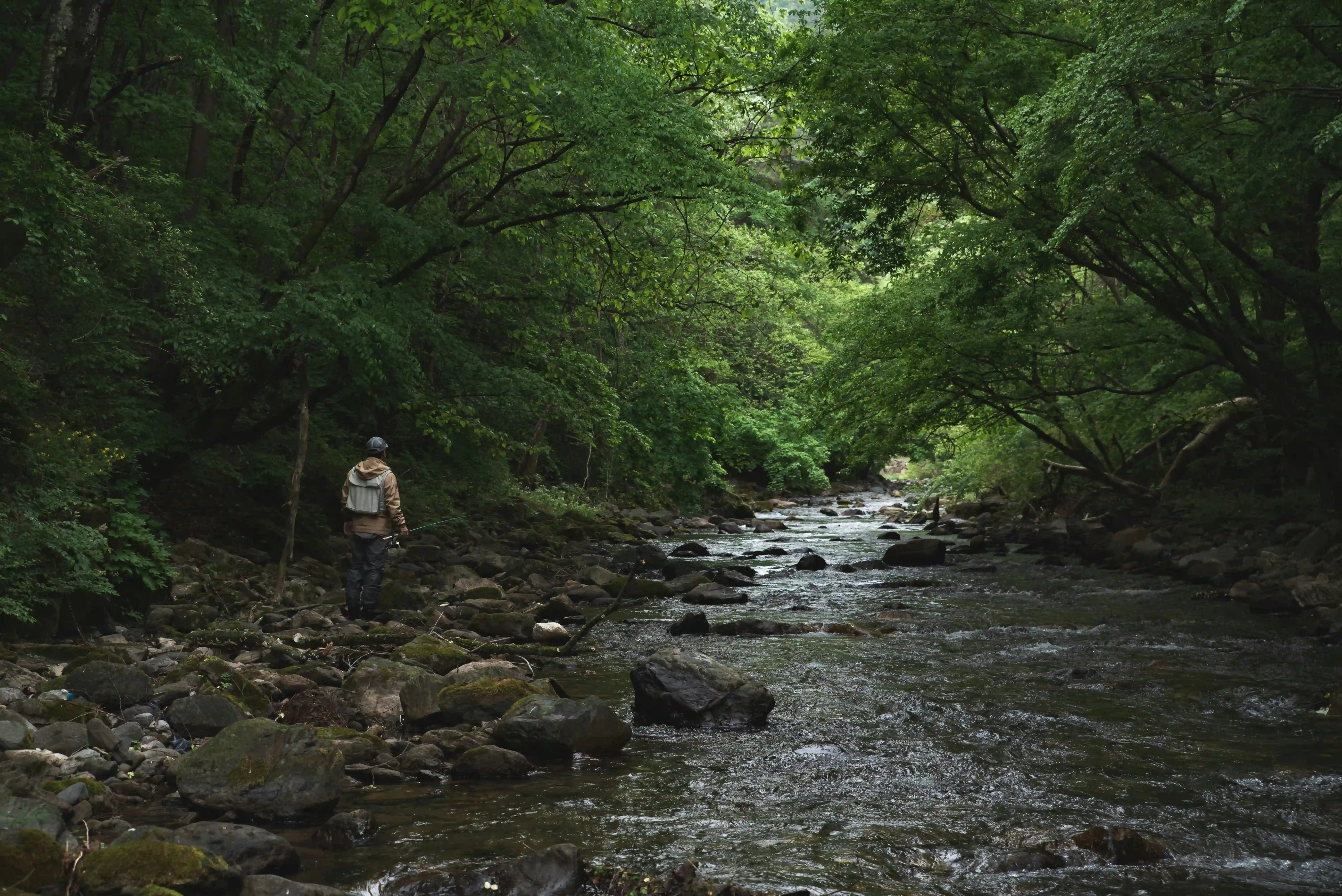 Trout Fishing in Tirthan River activity in Tirthan Valley