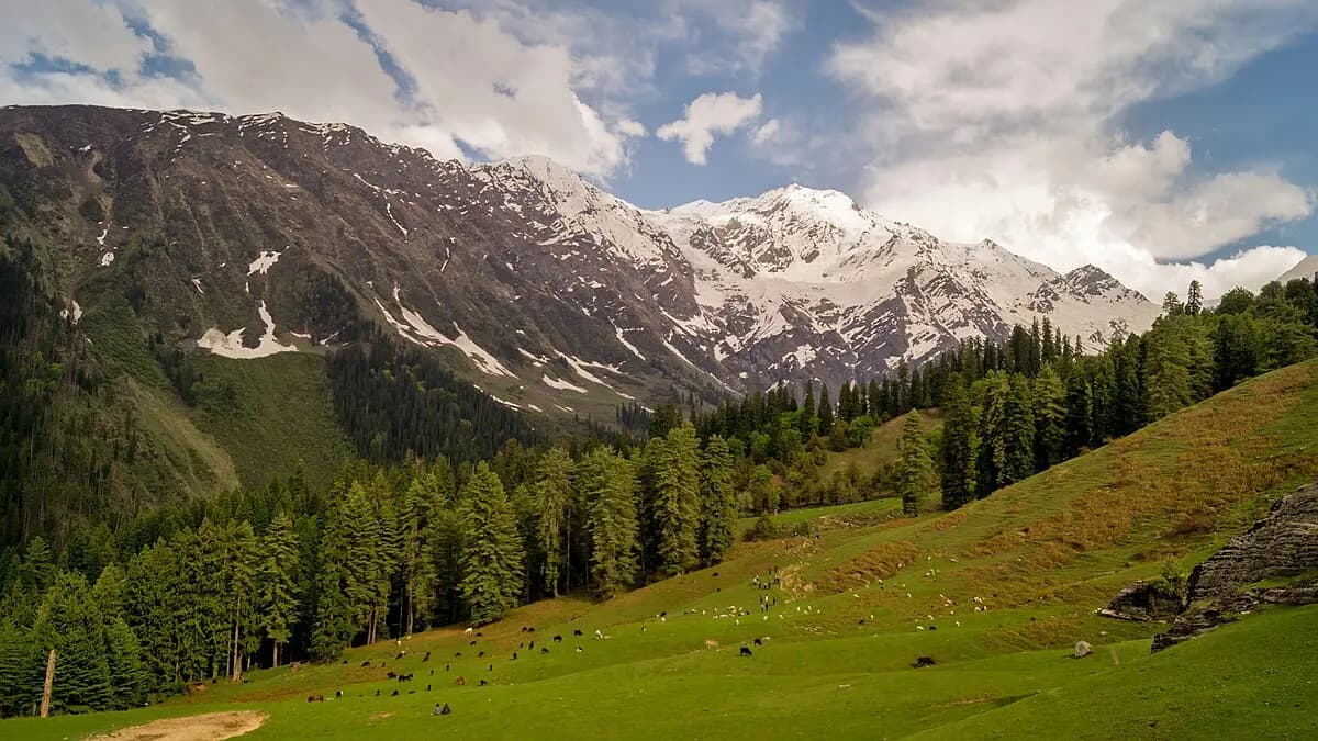 Great Himalayan National Park attraction in Tirthan Valley