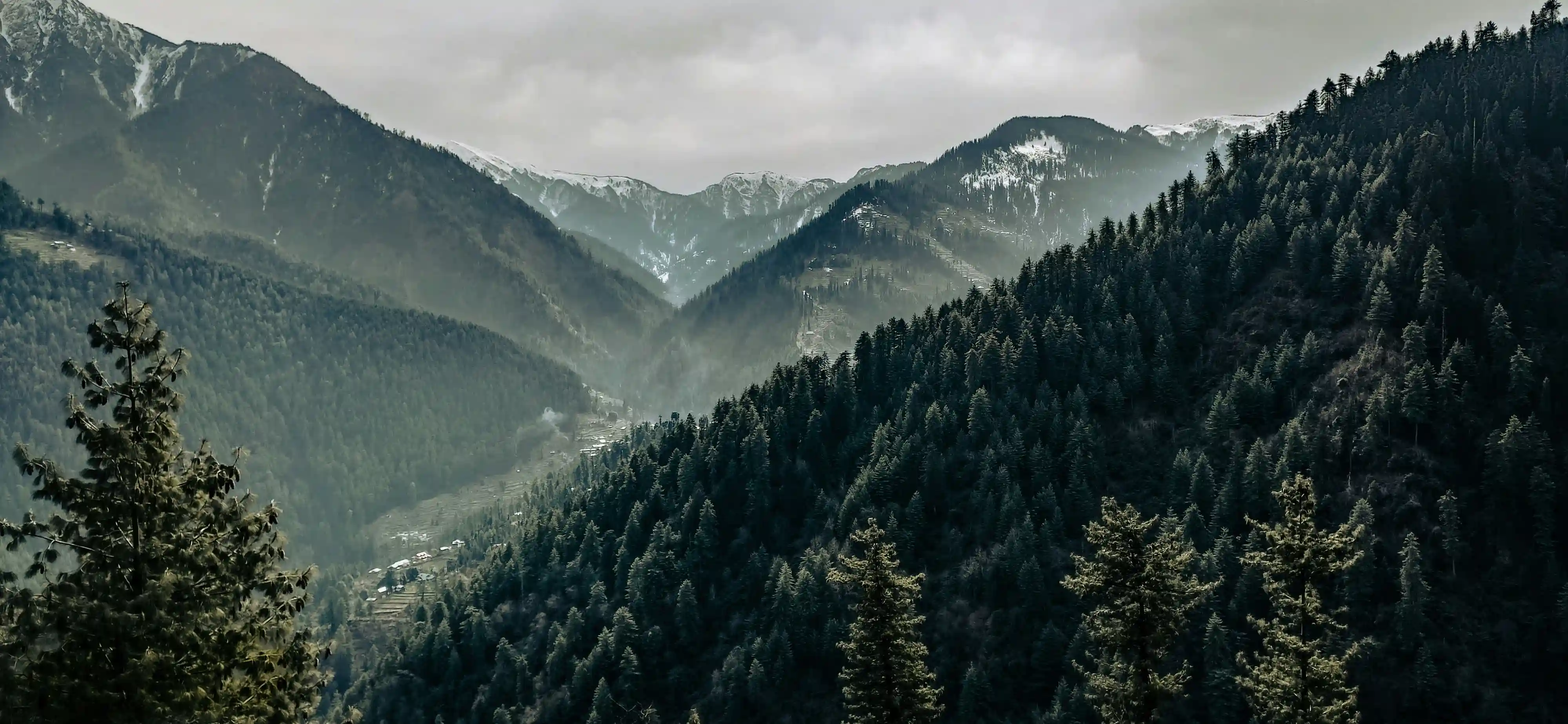 Jalori Pass near Serolsar Lake in Tirthan Valley