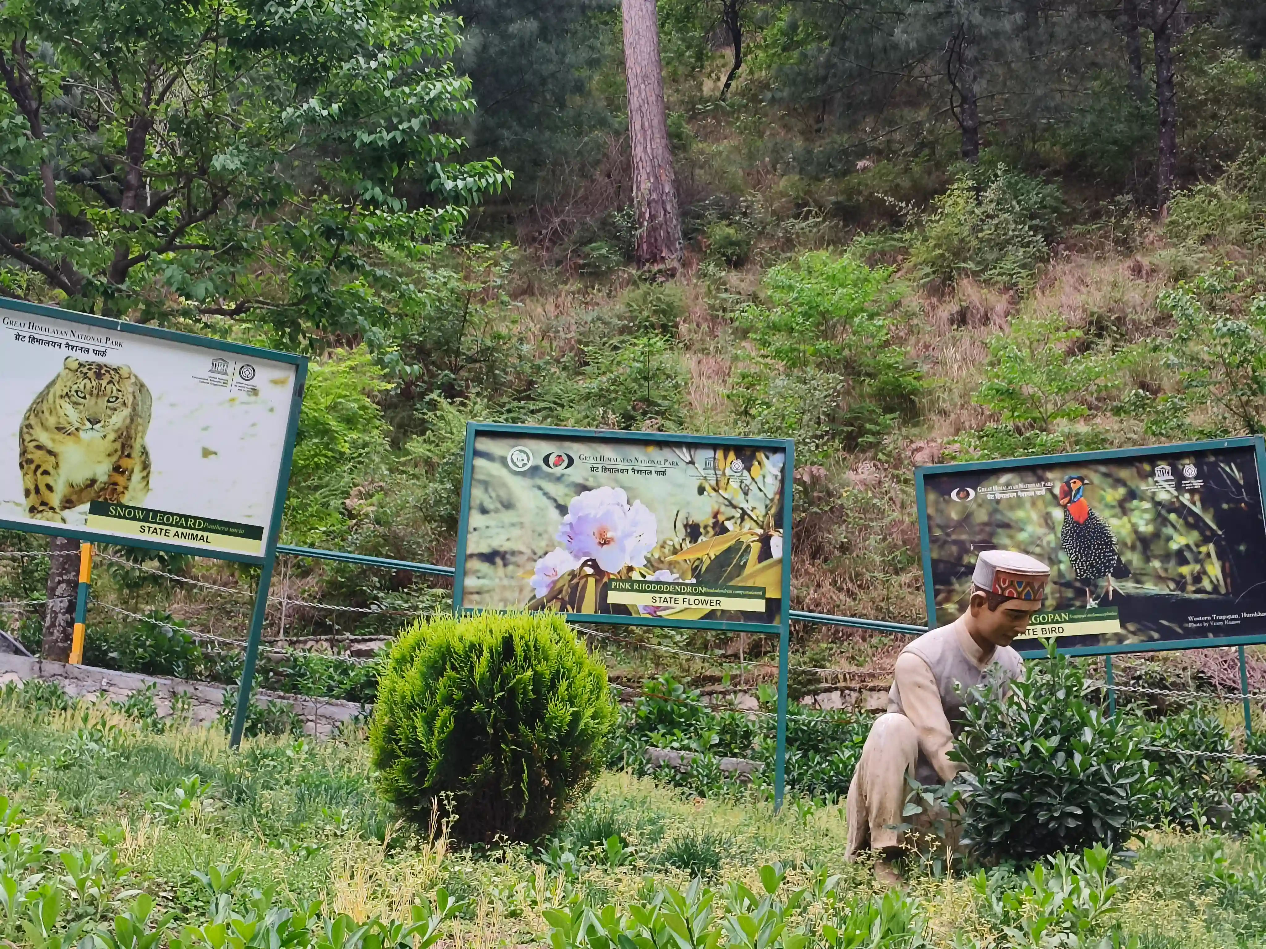 Nature Learning Center Walk 4
